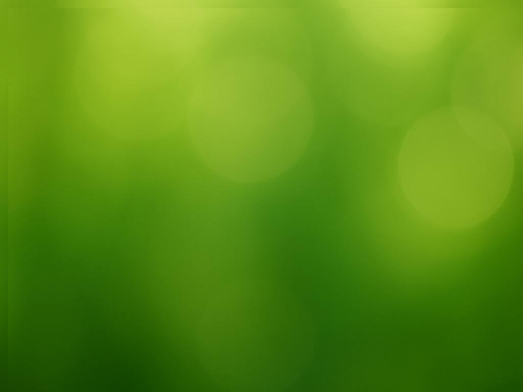 Mantis vision